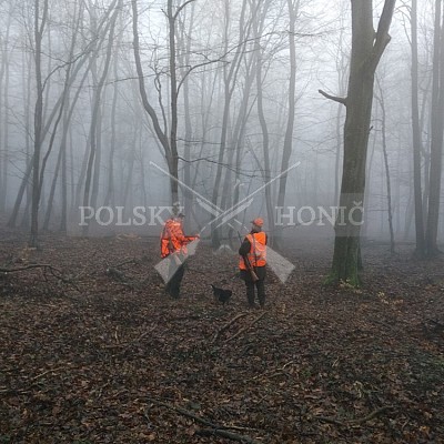 Vojenské lesy a statky ČR divize Lipník nad Bečvou 28.12.2017