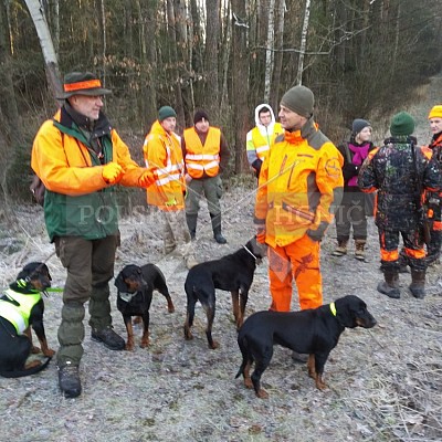 Dobrodzien-Polsko-30.12.2017 naháňka-7x Polský honič