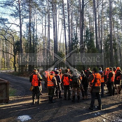 Dobrodzien-Polsko-30.12.2017 naháňka-7x Polský honič