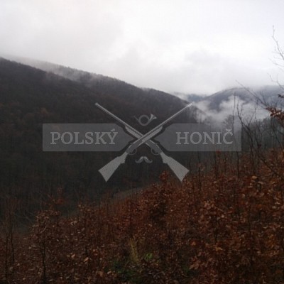 Vojenské lesy a statky ČR divize Lipník nad Bečvou 11.1.2018