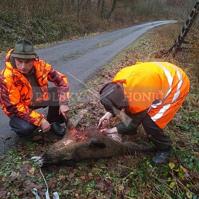 Vojenské lesy a statky ČR divize Lipník nad Bečvou 11.1.2018