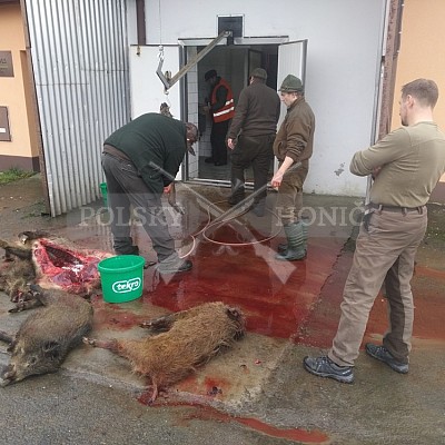 Vojenské lesy a statky ČR divize Lipník nad Bečvou 11.1.2018
