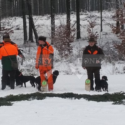 IHZ - VLS ČR, s.p., divize Lipník nad Bečvou, LS D. Újezd