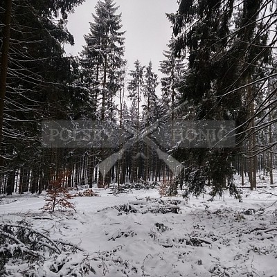 IHZ - VLS ČR, s.p., divize Lipník nad Bečvou, LS D. Újezd