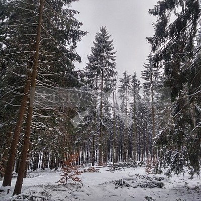 IHZ - VLS ČR, s.p., divize Lipník nad Bečvou, LS D. Újezd