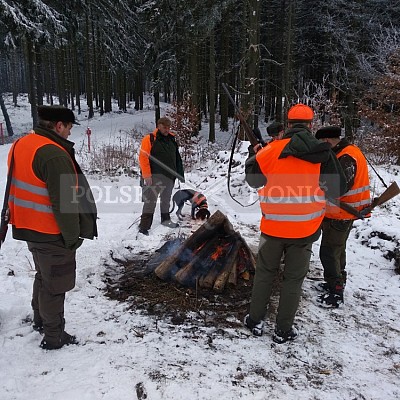 IHZ - VLS ČR, s.p., divize Lipník nad Bečvou, LS D. Újezd