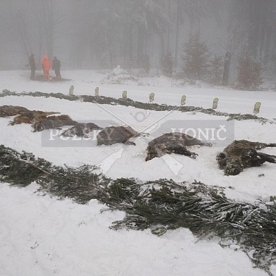 IHZ - VLS ČR, s.p., divize Lipník nad Bečvou, LS D. Újezd