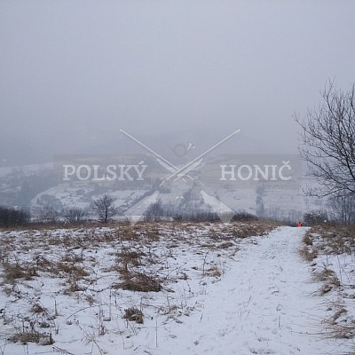 Gilowice-Polsko - 21.1.2018 -  závěrečná naháňka - 5x Polský honič