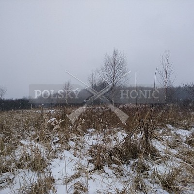 Gilowice-Polsko - 21.1.2018 -  závěrečná naháňka - 5x Polský honič