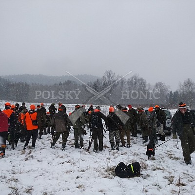 Gilowice-Polsko - 21.1.2018 -  závěrečná naháňka - 5x Polský honič