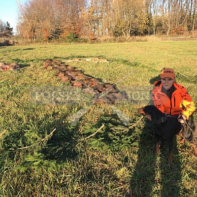 Vojenské lesy a statky ČR divize Lipník nad Bečvou 14.11.2019