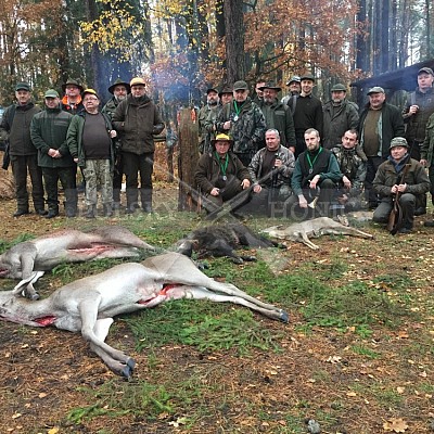 Kolo Lubliniec - Polsko - Pawelki 3.11.2018-5xPolský honič
