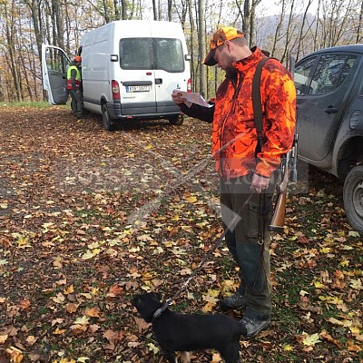 Vojenské lesy a statky ČR divize Lipník nad Bečvou 9.11.2018