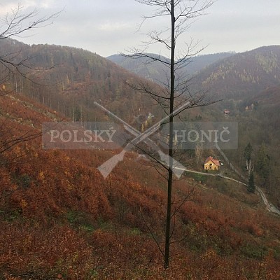 Vojenské lesy a statky ČR divize Lipník nad Bečvou 9.11.2018