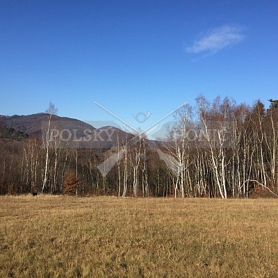Stebník-Stebnická Huta-Slovensko- 17.11.2018