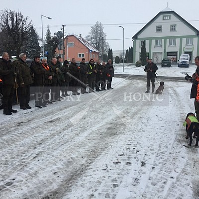 Jívová - ČR 21.11.2018 7 ks černé, 2 ks kolouch