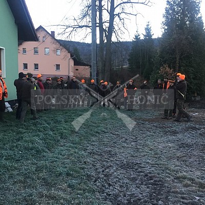 Kowary-Polsko-24-25.11-2018 naháňka-Dzik,Doker,Debra,Dona,Bor