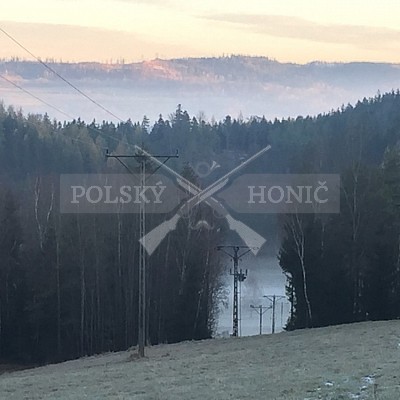 Kowary-Polsko-24-25.11-2018 naháňka-Dzik,Doker,Debra,Dona,Bor