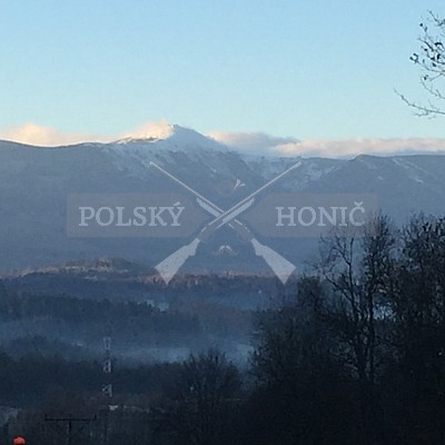 Kowary-Polsko-24-25.11-2018 naháňka-Dzik,Doker,Debra,Dona,Bor