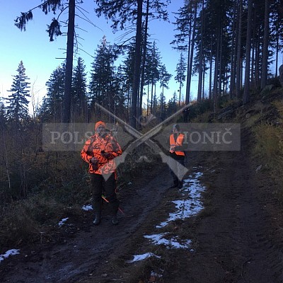 Kowary-Polsko-24-25.11-2018 naháňka-Dzik,Doker,Debra,Dona,Bor
