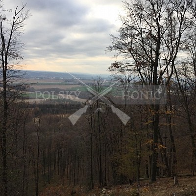 Vojenské lesy a statky ČR divize Lipník nad Bečvou 30.11.2018