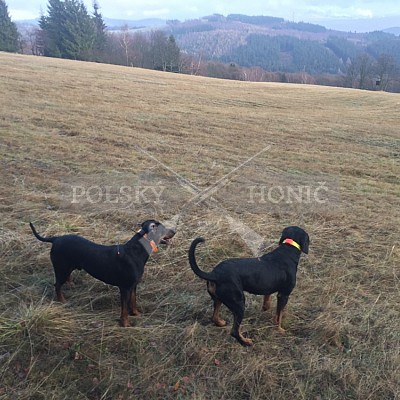 Krušné hory-Kryštofovy Hamry- 8.12.2018
