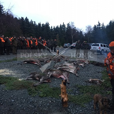 Krušné hory-Kryštofovy Hamry- 8.12.2018