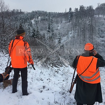 Vojenské lesy a statky ČR divize Lipník nad Bečvou 13.12.2018