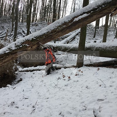Vojenské lesy a statky ČR divize Lipník nad Bečvou 13.12.2018