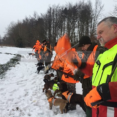 Vojenské lesy a statky ČR divize Lipník nad Bečvou 20.12.2018