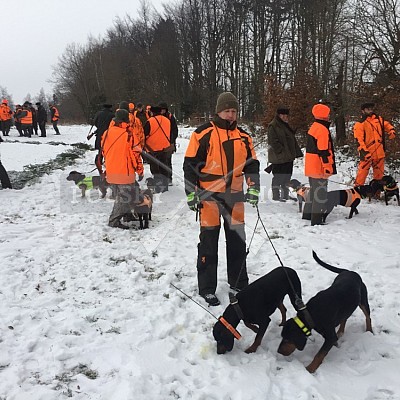 Vojenské lesy a statky ČR divize Lipník nad Bečvou 20.12.2018