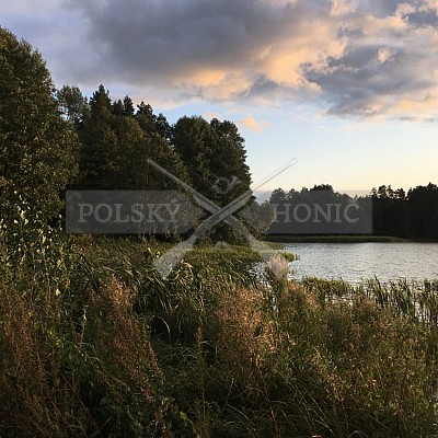 Soutěž polských honičů na přirozených dosledech - Mazurské jezera -Polsko 19-22.9.2019