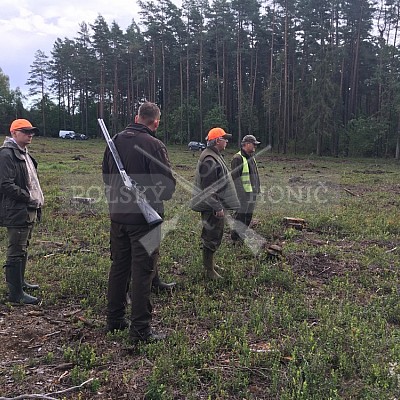 Soutěž polských honičů na přirozených dosledech - Mazurské jezera -Polsko 19-22.9.2019