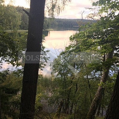 Soutěž polských honičů na přirozených dosledech - Mazurské jezera -Polsko 19-22.9.2019