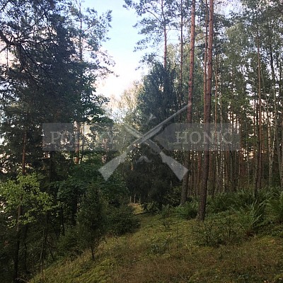 Soutěž polských honičů na přirozených dosledech - Mazurské jezera -Polsko 19-22.9.2019