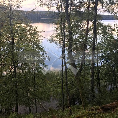 Soutěž polských honičů na přirozených dosledech - Mazurské jezera -Polsko 19-22.9.2019