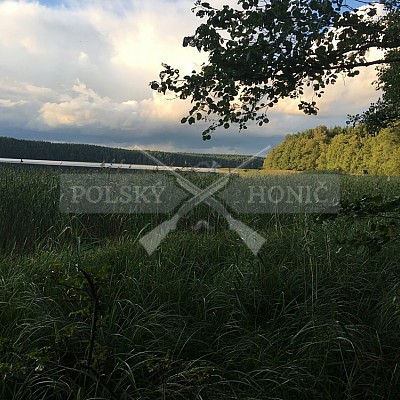 Soutěž polských honičů na přirozených dosledech - Mazurské jezera -Polsko 19-22.9.2019