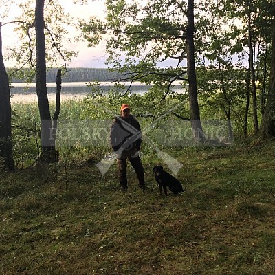 Soutěž polských honičů na přirozených dosledech - Mazurské jezera -Polsko 19-22.9.2019