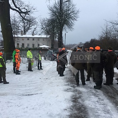 Rudziniec-Polsko - 5.1.2019-naháňka