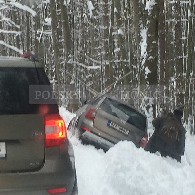 Vlára - 9.1.2019-naháňka 