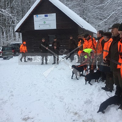 Vlára - 9.1.2019-naháňka 