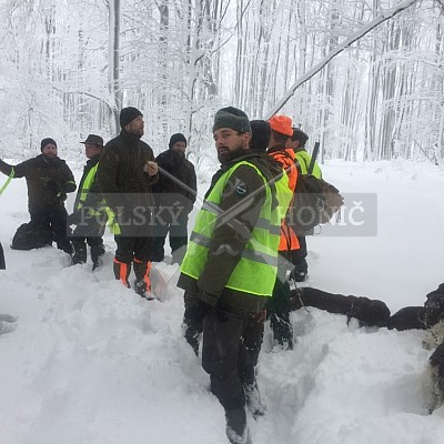 Vlára - 9.1.2019-naháňka 