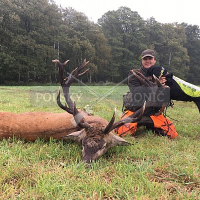 Soutěž polských honičů na přirozených dosledech - Mazurské jezera -Polsko 19-22.9.2019