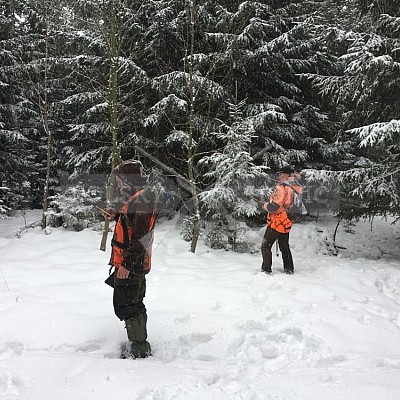 Niva- 15.1.2019 STEELPARK