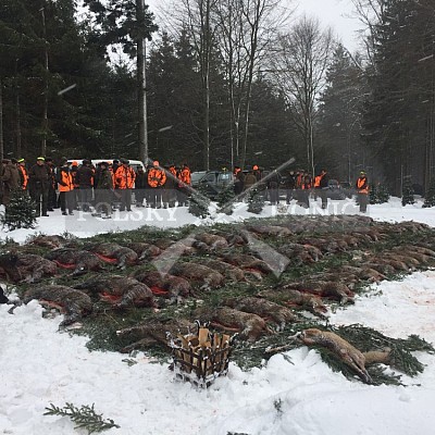 Niva- 15.1.2019 STEELPARK