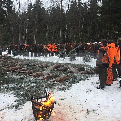 Niva- 15.1.2019 STEELPARK