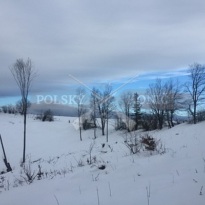Vojenské lesy a statky ČR divize Lipník nad Bečvou 18.1.2019