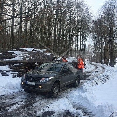 Vojenské lesy a statky ČR divize Lipník nad Bečvou 18.1.2019
