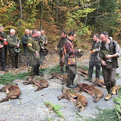Vršava 19.10.2019-naháňka 