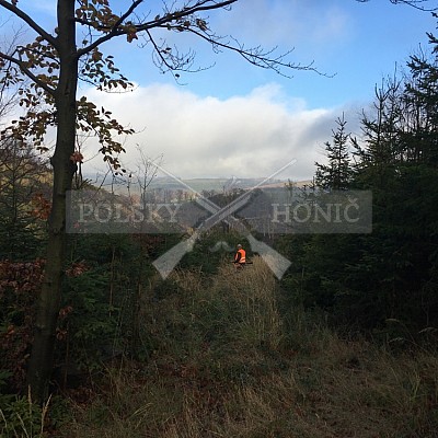 Vojenské lesy a statky ČR divize Lipník nad Bečvou 7.11.2019